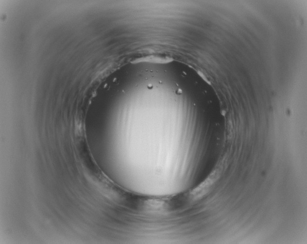 X0000065250176200603131137