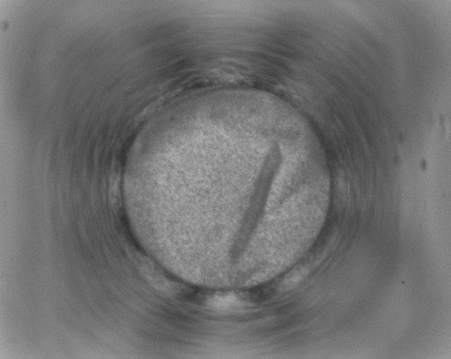 X0000065250177200603131137