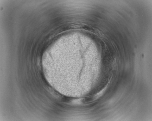 X0000065250178200603131137