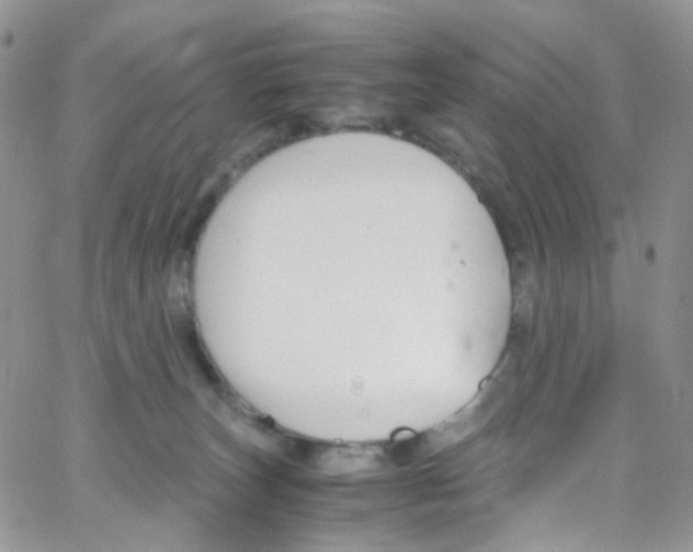 X0000065250179200603131137