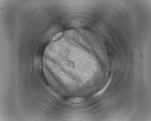 X0000065250182200603131137