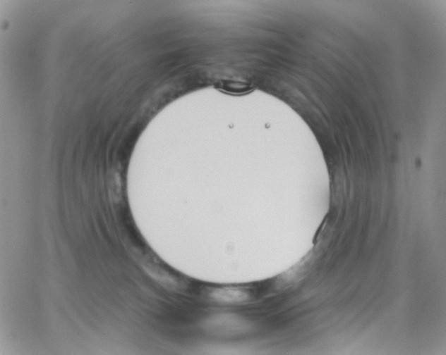 X0000065250183200603131137