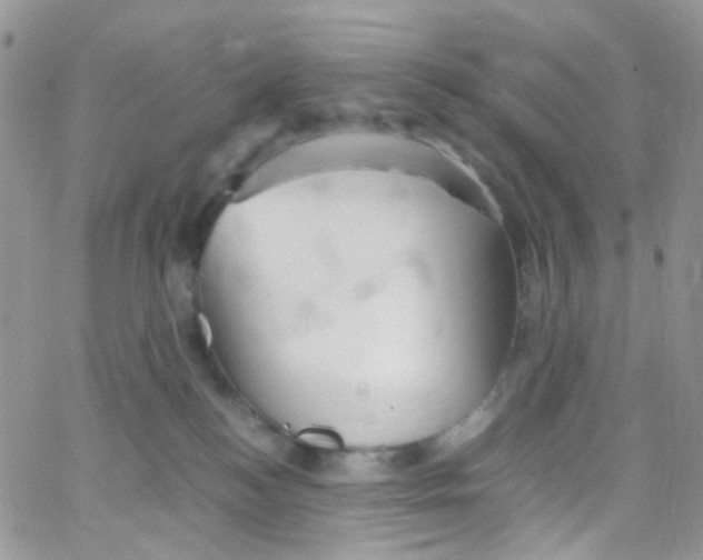 X0000065250184200603131137