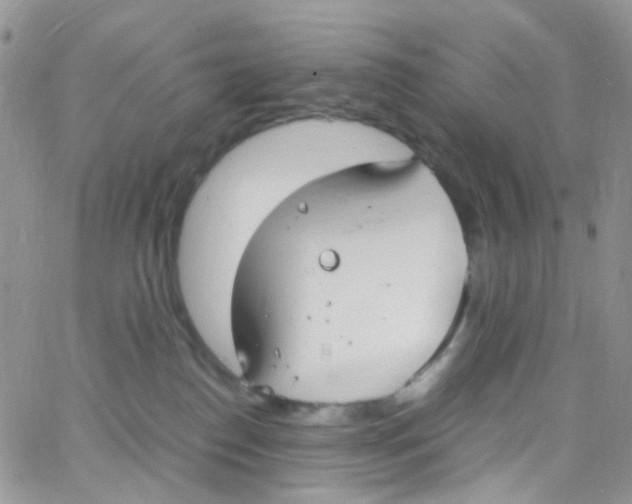 X0000065250186200603131137