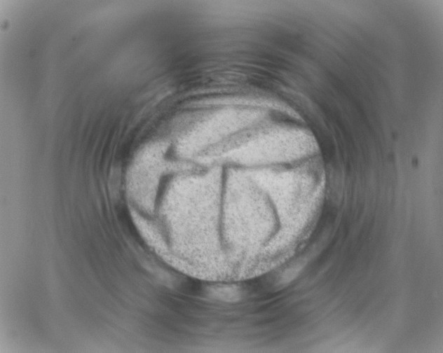 X0000065250189200603131137