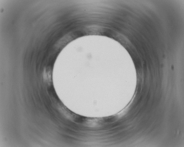 X0000065250190200603131137