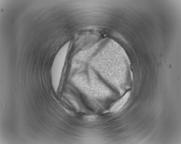 X0000065250192200603131137