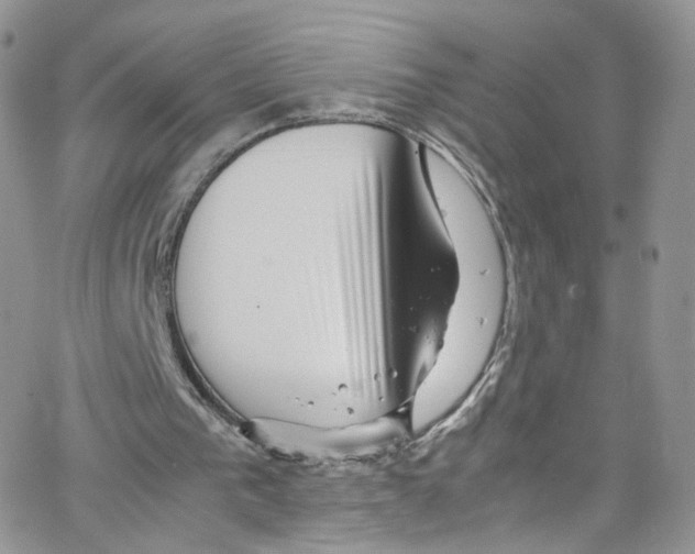 X0000065250193200603131136