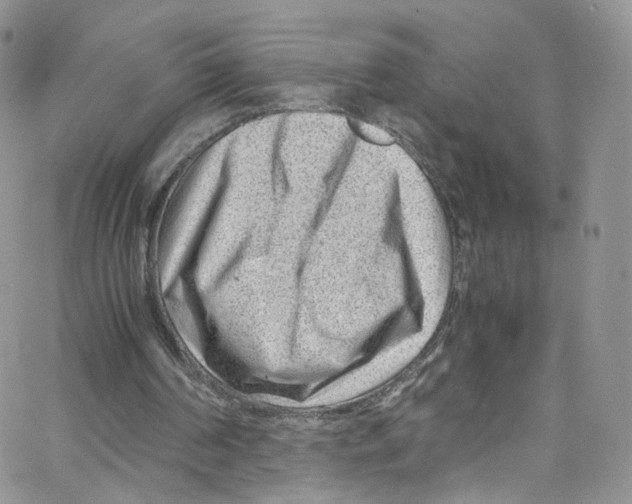 X0000065250194200603131136