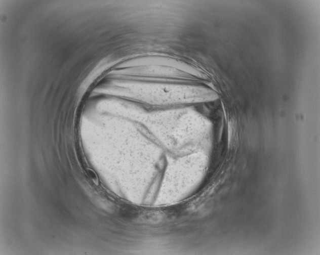 X0000065250195200603131136