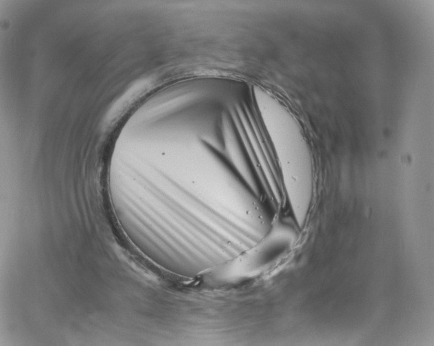 X0000065250197200603131136