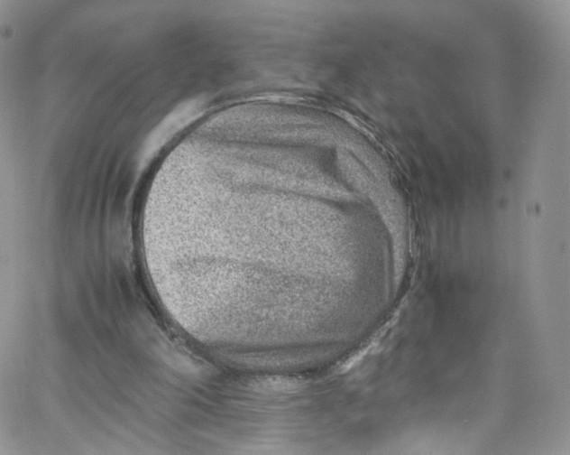 X0000065250198200603131136