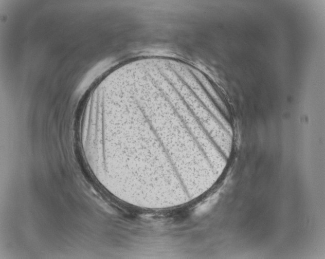 X0000065250199200603131136