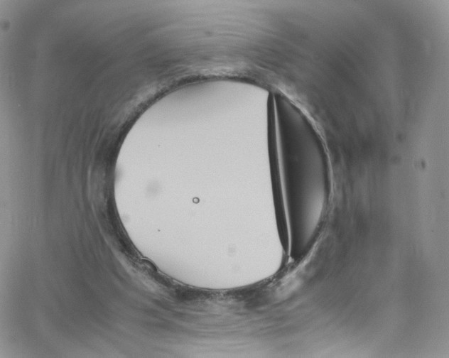 X0000065250201200603131136