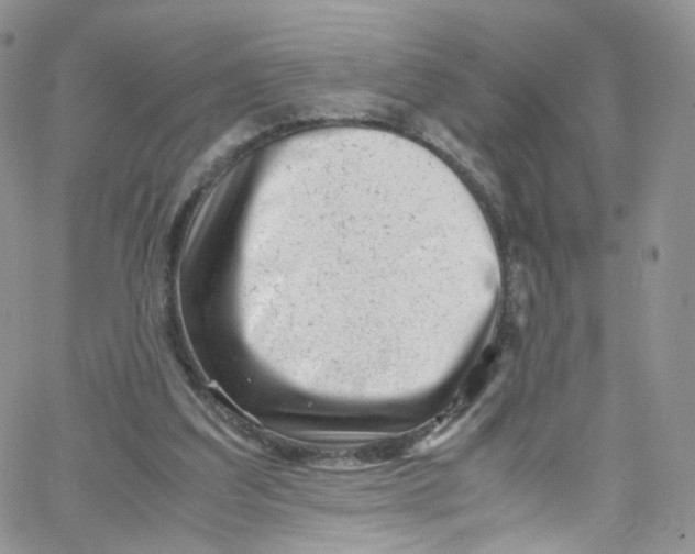 X0000065250203200603131136