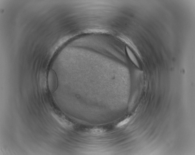 X0000065250204200603131136