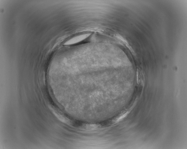 X0000065250205200603131136