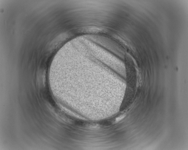 X0000065250206200603131136