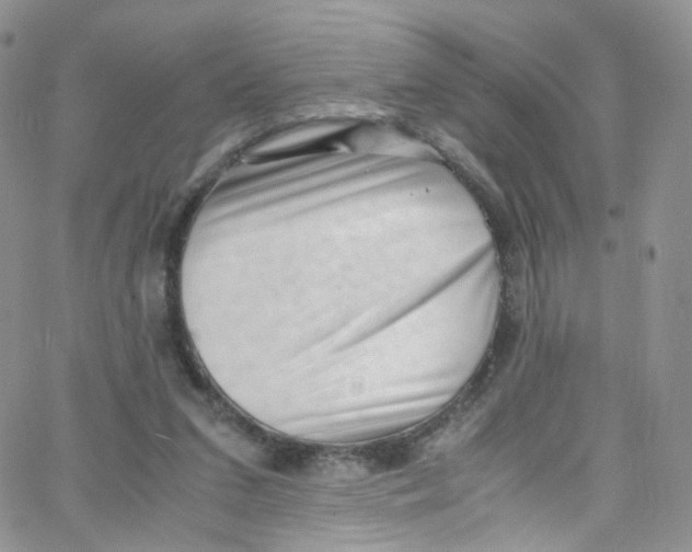 X0000065250207200603131136