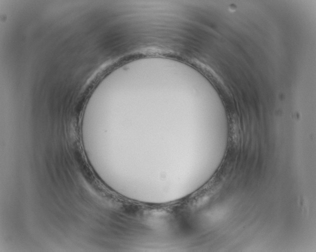 X0000065250208200603131136