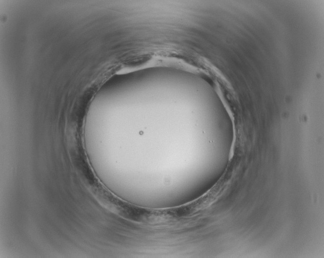 X0000065250209200603131136