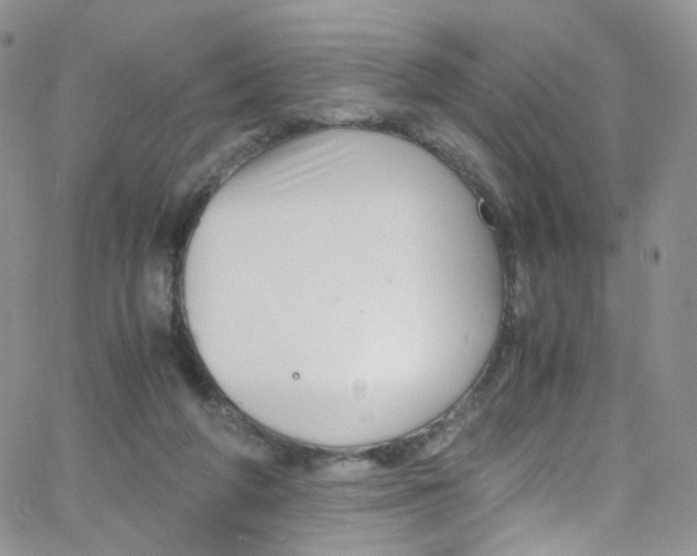 X0000065250210200603131136