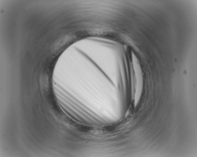 X0000065250211200603131136