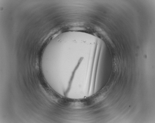 X0000065250212200603131136