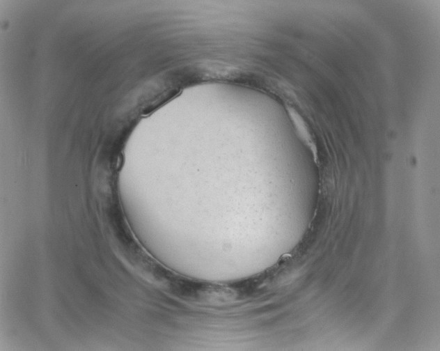 X0000065250215200603131136