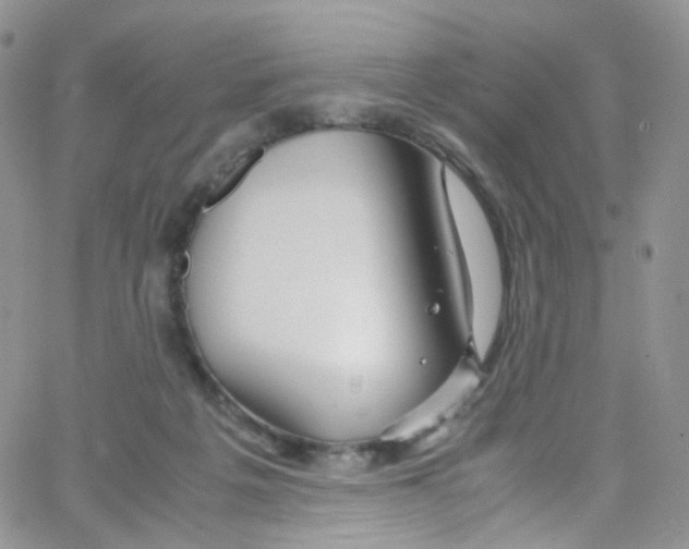 X0000065250217200603131136