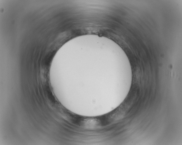 X0000065250218200603131136