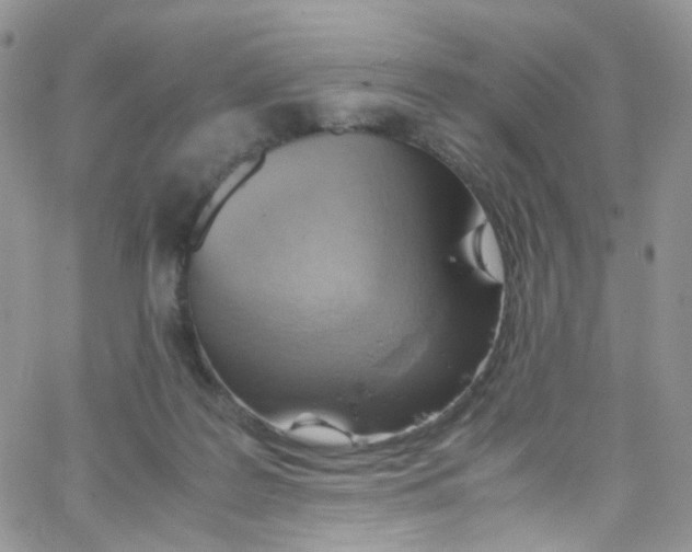 X0000065250219200603131136