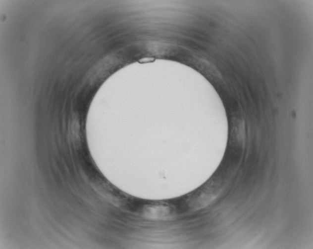 X0000065250220200603131136