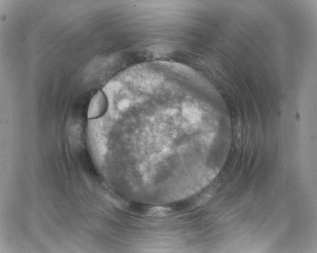 X0000065250222200603131136