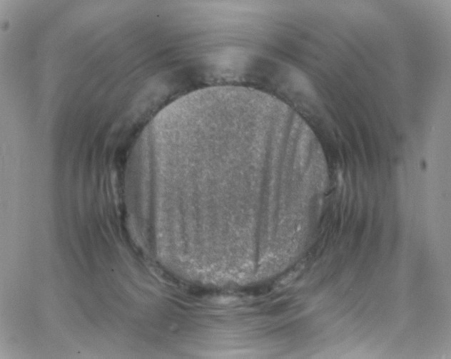 X0000065250224200603131136