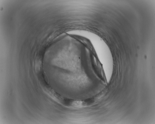 X0000065250227200603131136