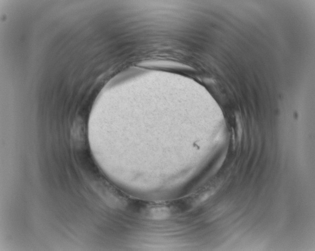 X0000065250228200603131136