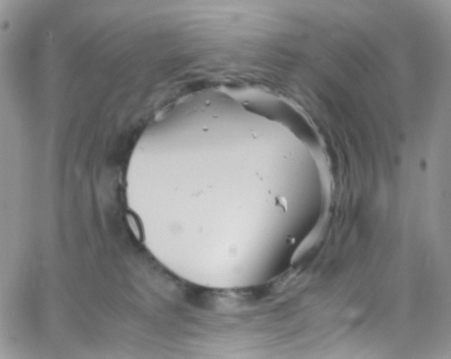 X0000065250229200603131136