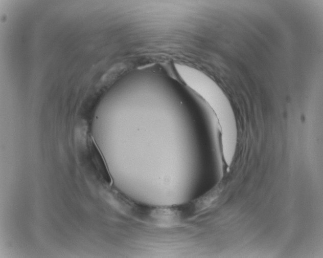 X0000065250231200603131136