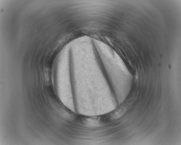 X0000065250232200603131136