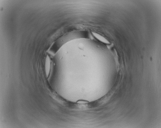 X0000065250233200603131136