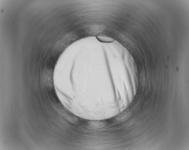 X0000065250234200603131136