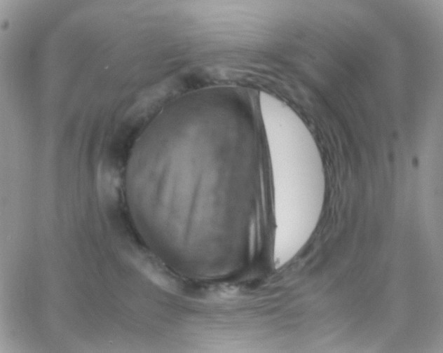 X0000065250235200603131136