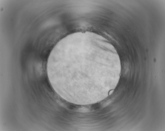 X0000065250236200603131136