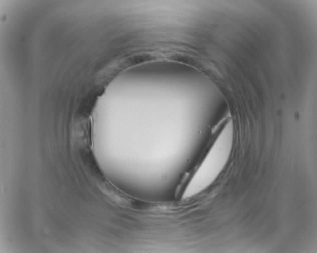 X0000065250237200603131136