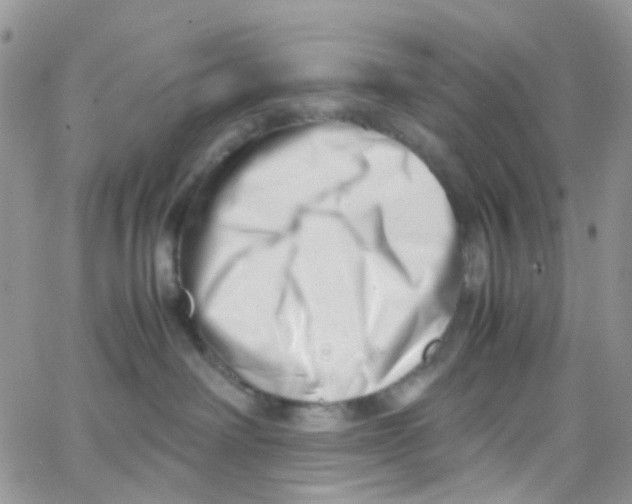 X0000065250238200603131136