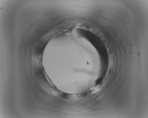 X0000065250239200603131136