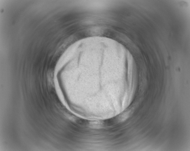 X0000065250240200603131136