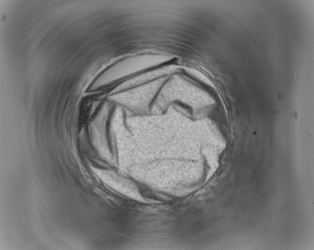 X0000065250241200603131135