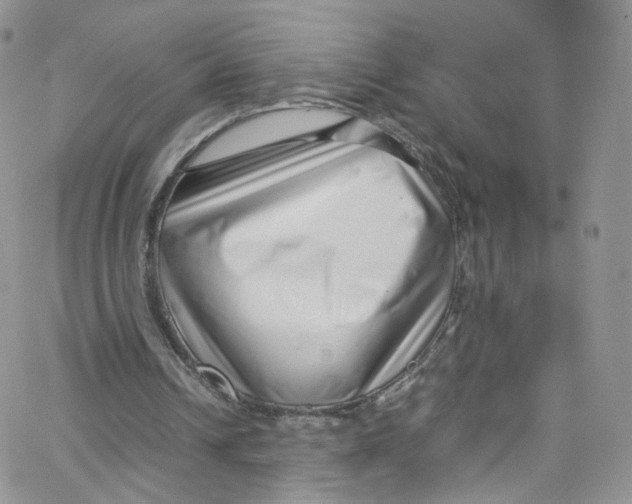 X0000065250242200603131135